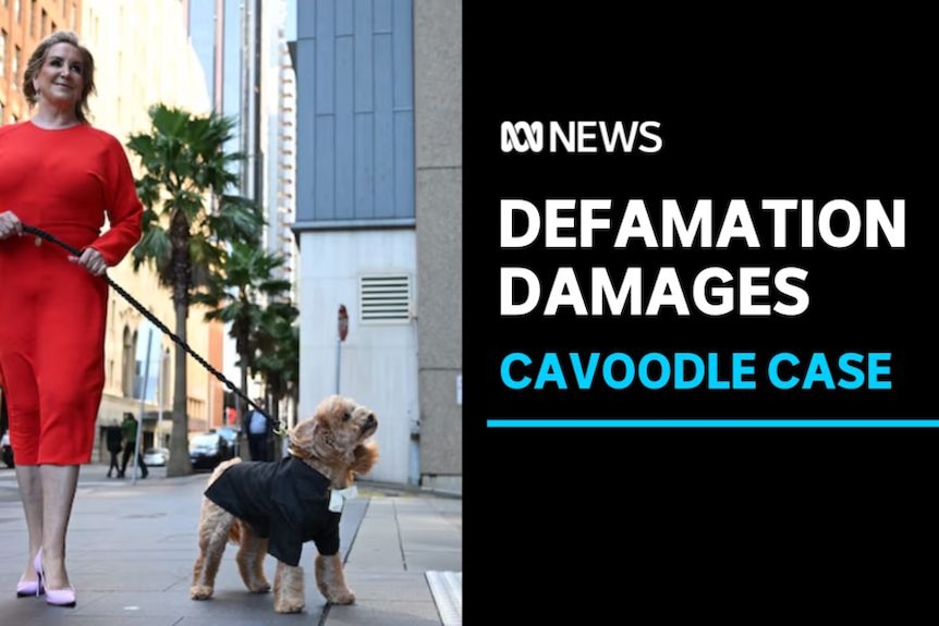 Defamation Damages, Cavoodle Case: A woman walks a cavoodle down a city street. The dog is dressed as a barrister.
