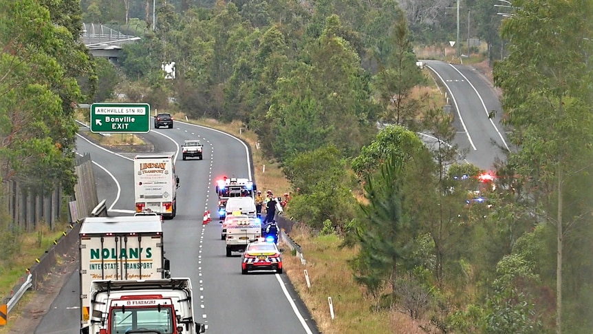 Emergency services gather at Pacific Highway median strip
