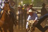 Cowboy jumps off horse to tackles steer at Mt Isa Rodeo on August 9, 2008.