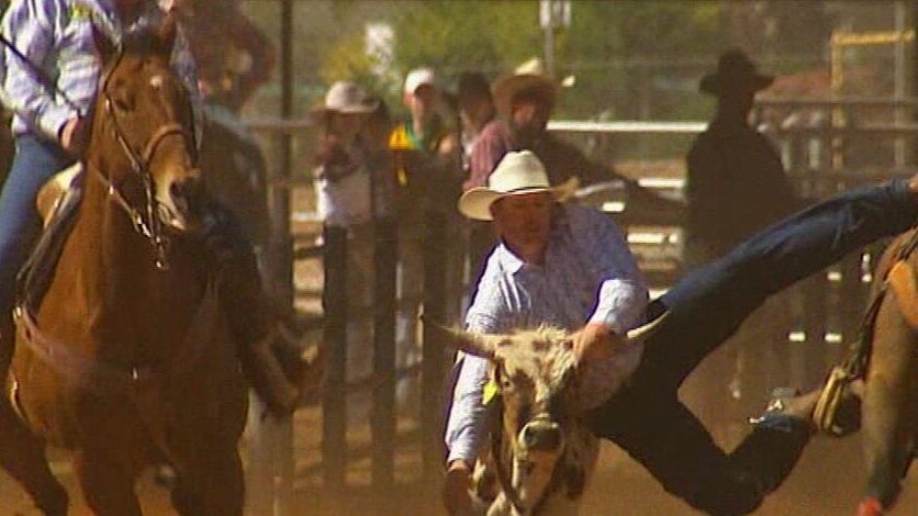 Cowboy jumps off horse to tackles steer at Mt Isa Rodeo on August 9, 2008.
