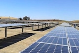Elecnor solar panels