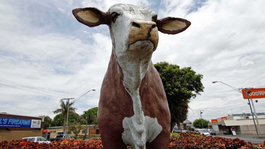A brown and white bull statue, from the front.