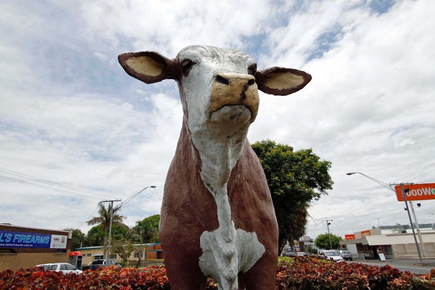 A brown and white bull statue, from the front.