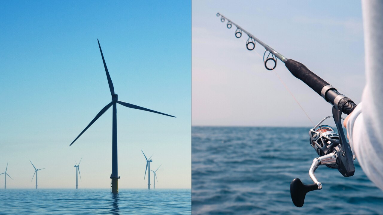 Fishing to be allowed 50m from turbines: Will wind farms improve ...