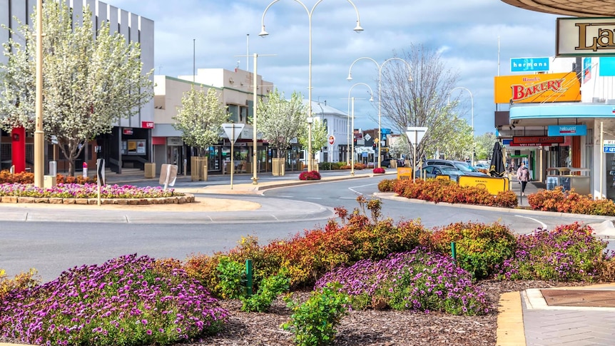 A main street in a regional city. There is a roundabout and roadside flowerbeds present.