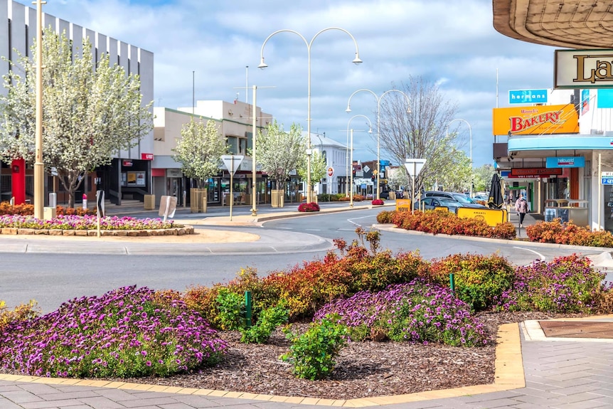 A main street in a regional city. There is a roundabout and roadside flowerbeds present.