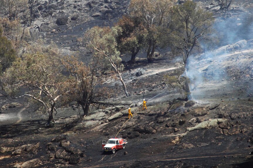 Firefighters battle a grass fire in Oura.