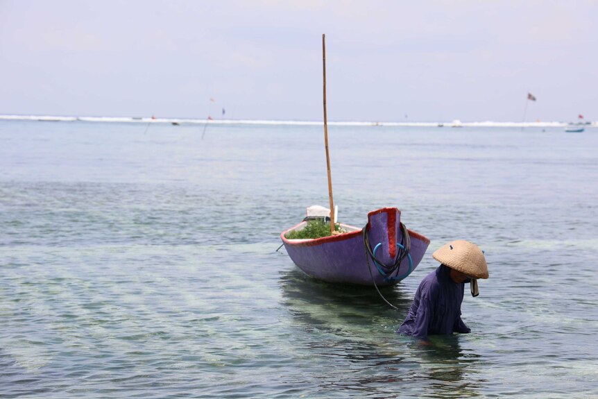 A woman draws a traditional boat through the channel.