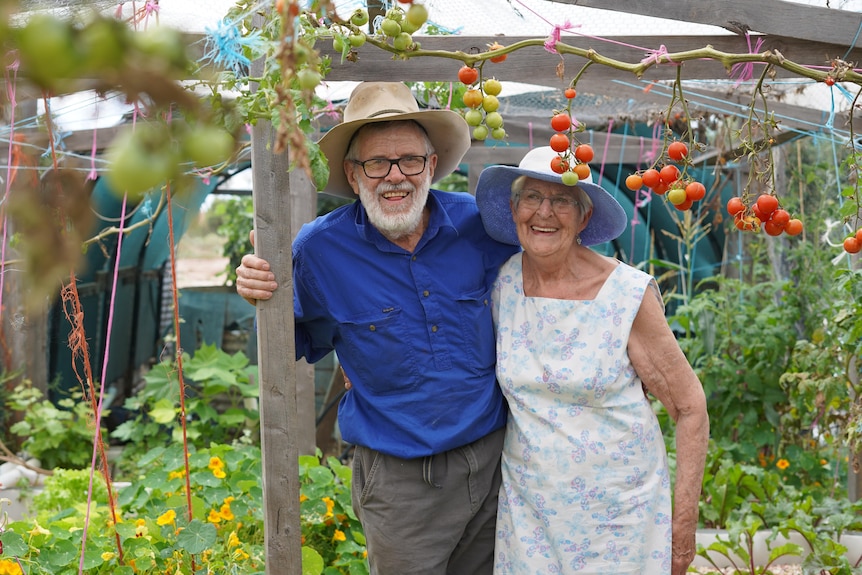 A man and a woman stand amongst hanging tomatoes in a greenhouse
