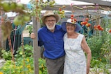 A man and a woman stand amongst hanging tomatoes in a greenhouse