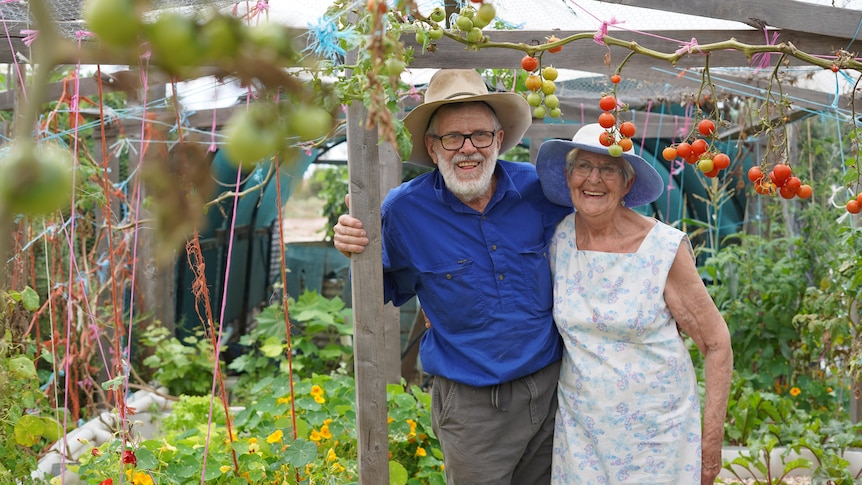 A man and a woman stand amongst hanging tomatoes in a greenhouse