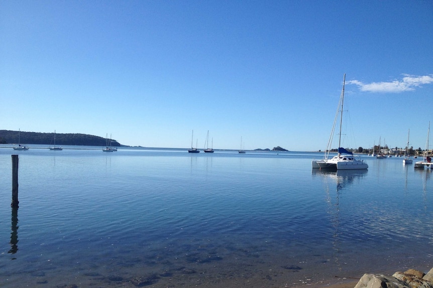 Discussing politics on the idyllic Batemans Bay foreshore on a gloriously sunny day seems almost wrong.