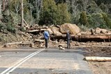 Two people near boulders and trees which cover a road after flood.
