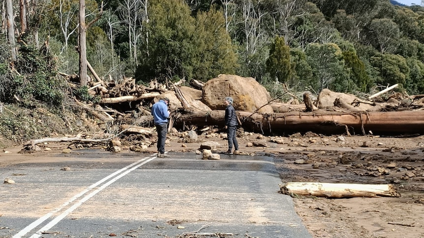 Two people near boulders and trees which cover a road after flood.