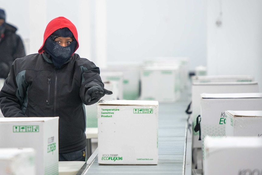 A person in warm cloths and face covering guides a box of vaccines on a conveyor belt.