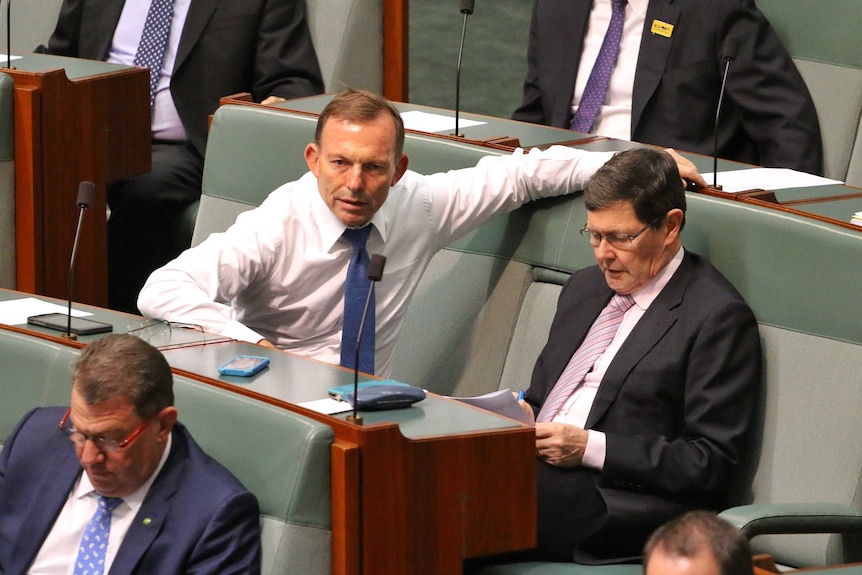 Tony Abbott in parliament