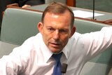 Tony Abbott in parliament