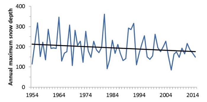 Graph of maximum snow depth per year from 1954 to 2014 showing variable depths but overall downward trend.