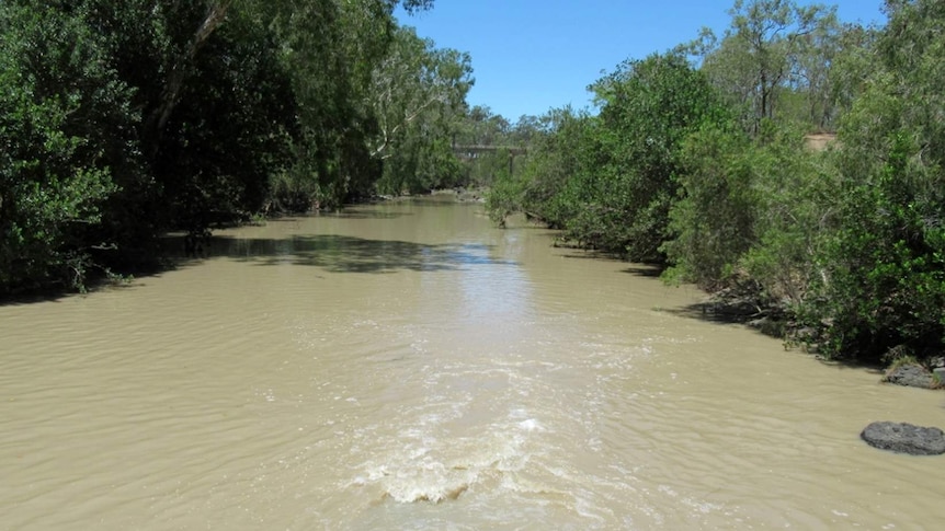 A photo of Clairview Creek taken on 13 October 2018.