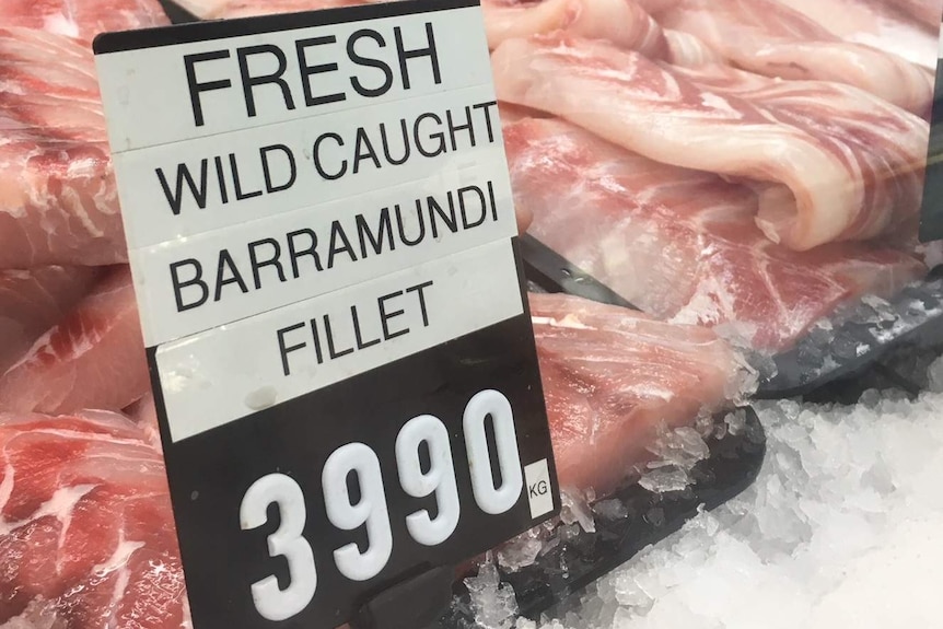 Close up of Barramundi fillets on display on ice, sign-posted 'Fresh Wild Caught Barramundi Fillet'.