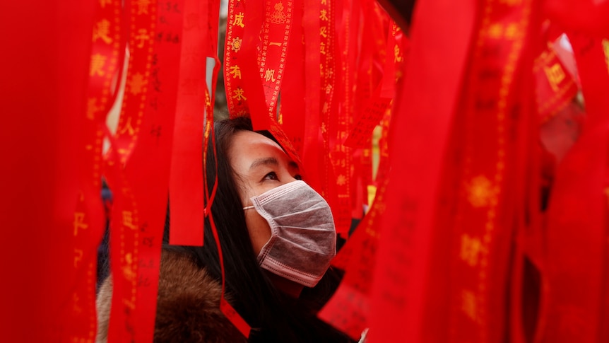 A woman reads ribbons at a wishing tree 