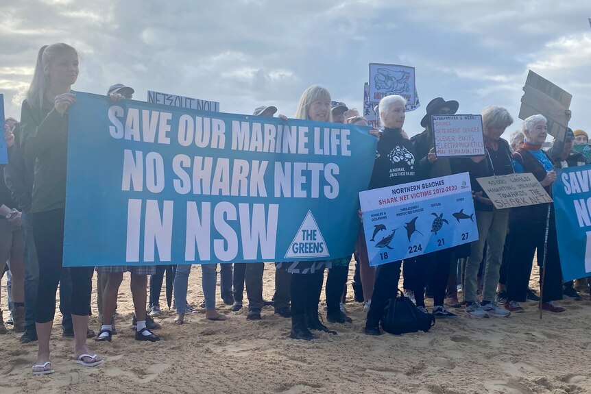 People stand in a line holding a sign reading 'save our marine life, no shark nets in NSW'