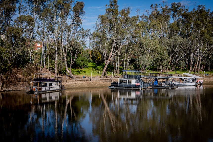 Some boats on the edge of a river with trees reflected in the water.