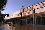 Flooding in the main street of Rochester. 15/1/11