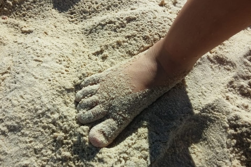 Toddlers foot on sand