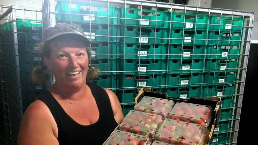 Di West standing in one of the cold rooms with a big box of strawberries.