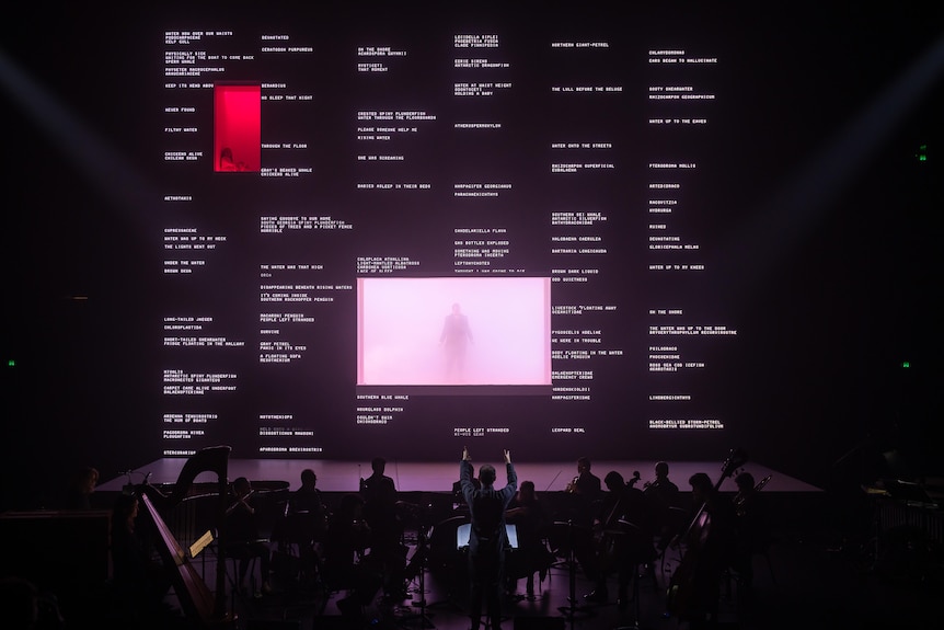 An orchestra is silhouetted by a large dark projection screen with blocks of text and a pink rectangle in the centre.