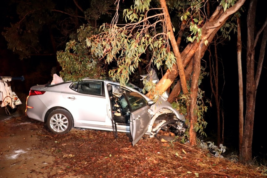 A silver sedan is pictured crumpled against a tree at nighttime, with part of the tree piercing the bonnet.