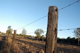 Rural fence