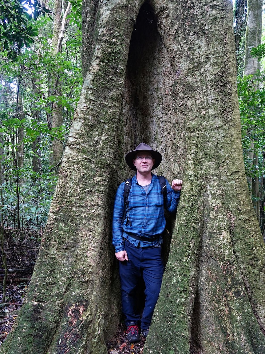 Craig Allen stands in the hollow of a large tree.