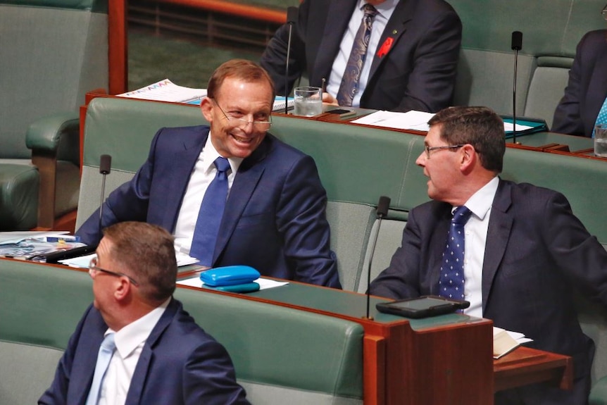 Tony Abbott smiles while talking to Kevin Andrews who is sitting to his left.