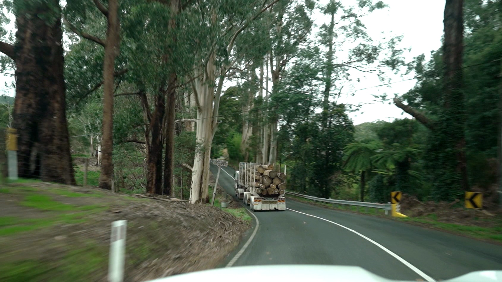 A photo taken from a car through the windshield at a winding road lined by trees. A truck with logs on it is ahead.