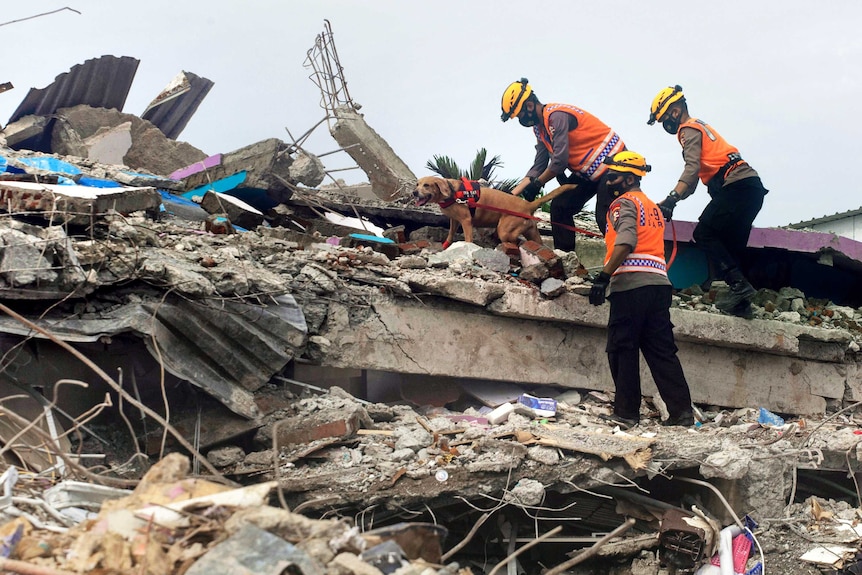 Three rescuers in PPE use a sniffer dog to search the broken concrete slabs and twisted metal of a collapsed building.