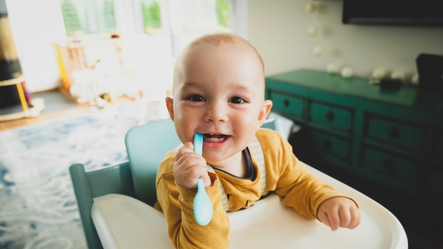 Baby in a high chair smiling