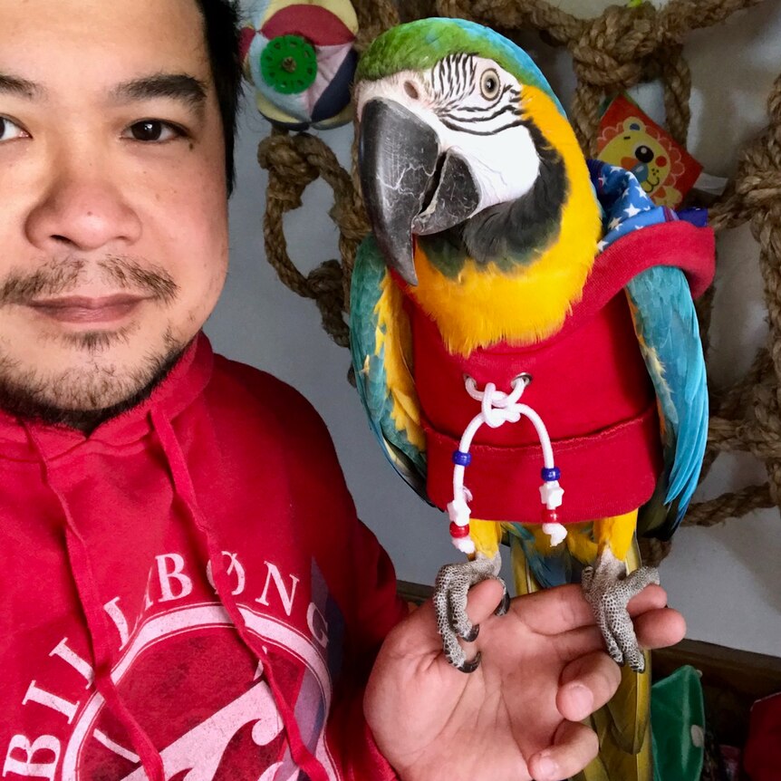 A man in a red hoodie holds a macaw in a matching outfit.