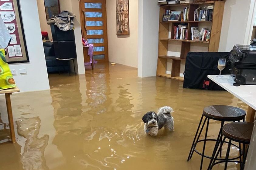 A flooded home in Holloway's Beach