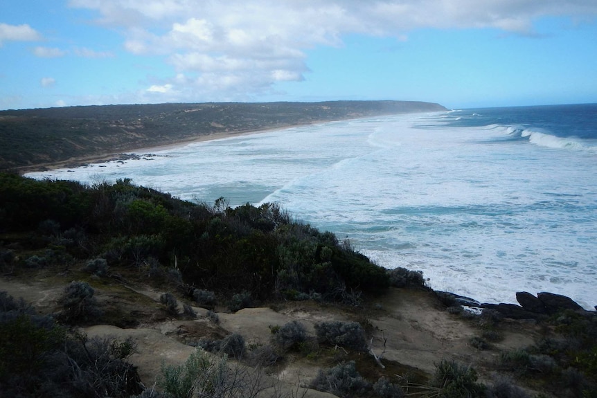 Heysen Trail at Waitpinga