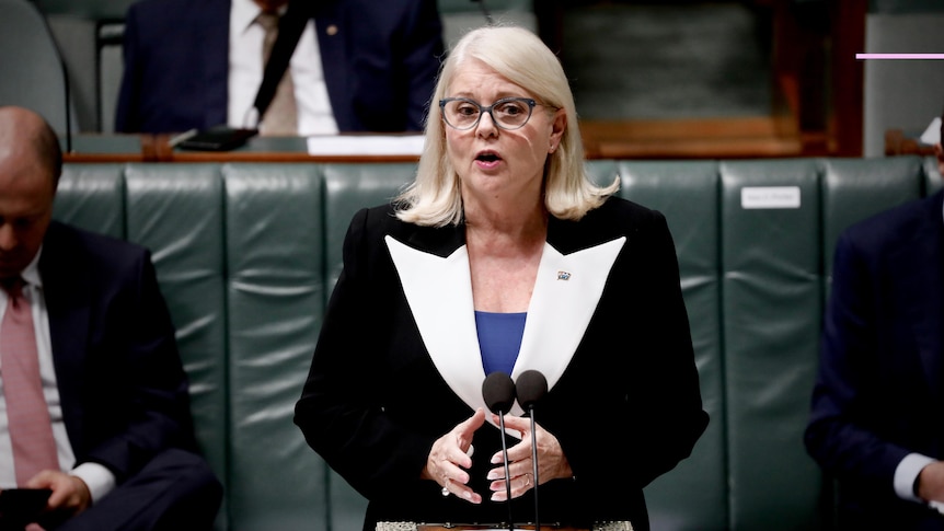 A woman with white blonde hair wearing a black blazer with white lapels speaking in parliament