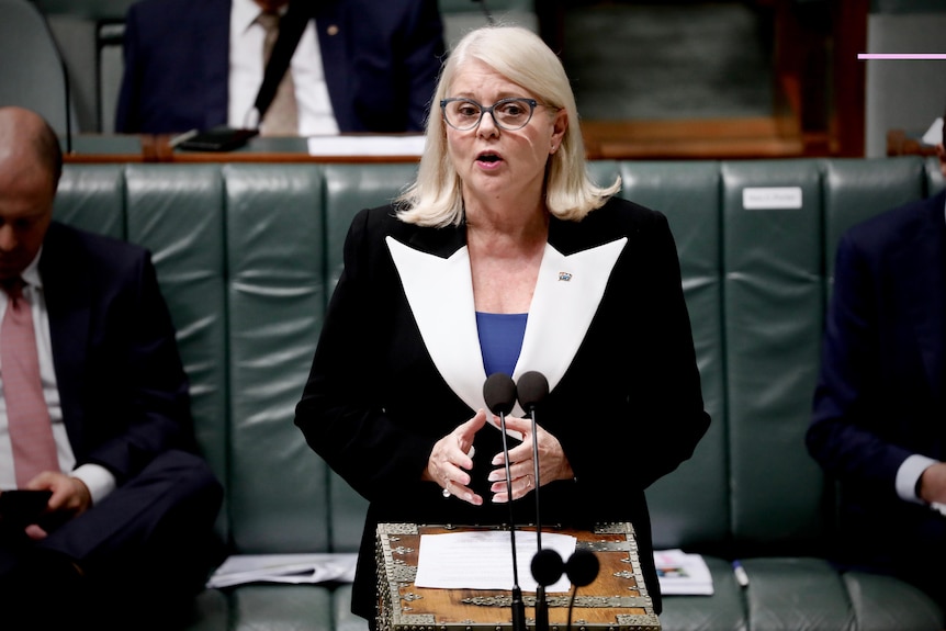 A woman with white blonde hair wearing a black blazer with white lapels speaking in parliament