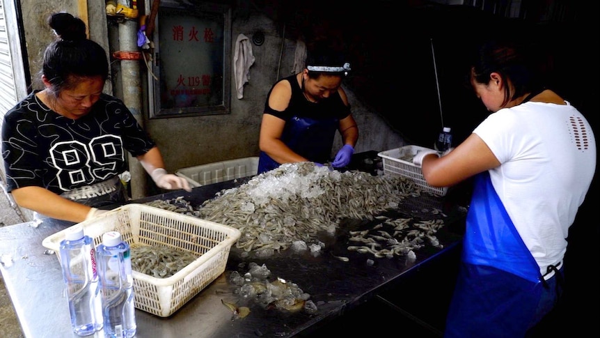 Three women with a pile of fish at the fish markets in Dandong.