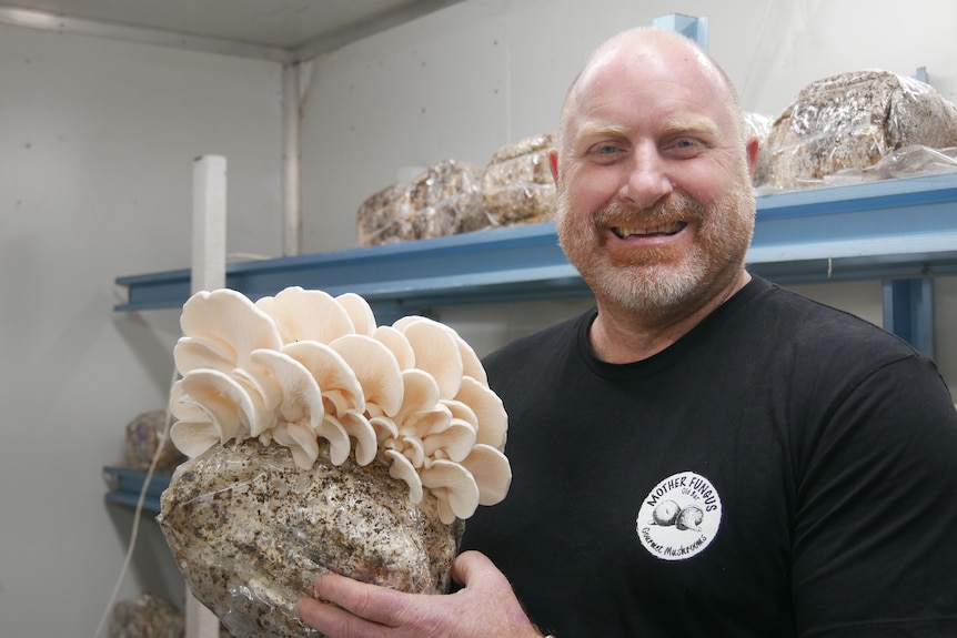 Bald man with beard holding a white block with a bunch of white mushrooms growing from it. 