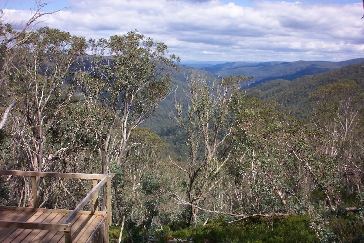 From a balcony of the hut trees can be seen in the foreground and mountains behind.