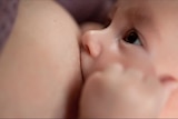 Close up shot of a woman breastfeeding her baby boy.