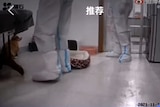 A blurry image of the legs of two health workers in PPE and a dog in the background