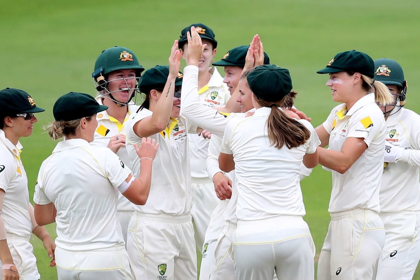 Australia's players high five and smile to celebrate taking a wicket.