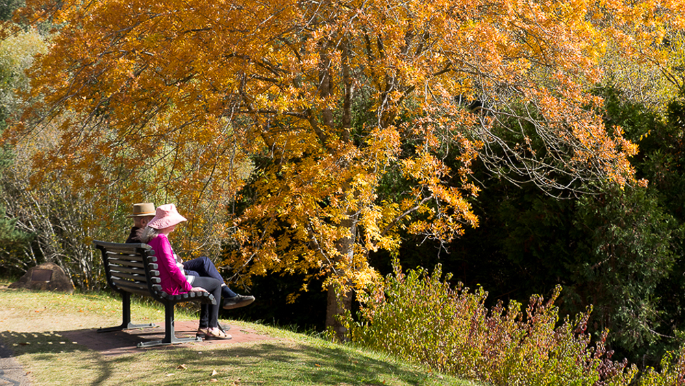 A couple on a seat enjoy the views at the Mount Lofty Botanic Gardens.